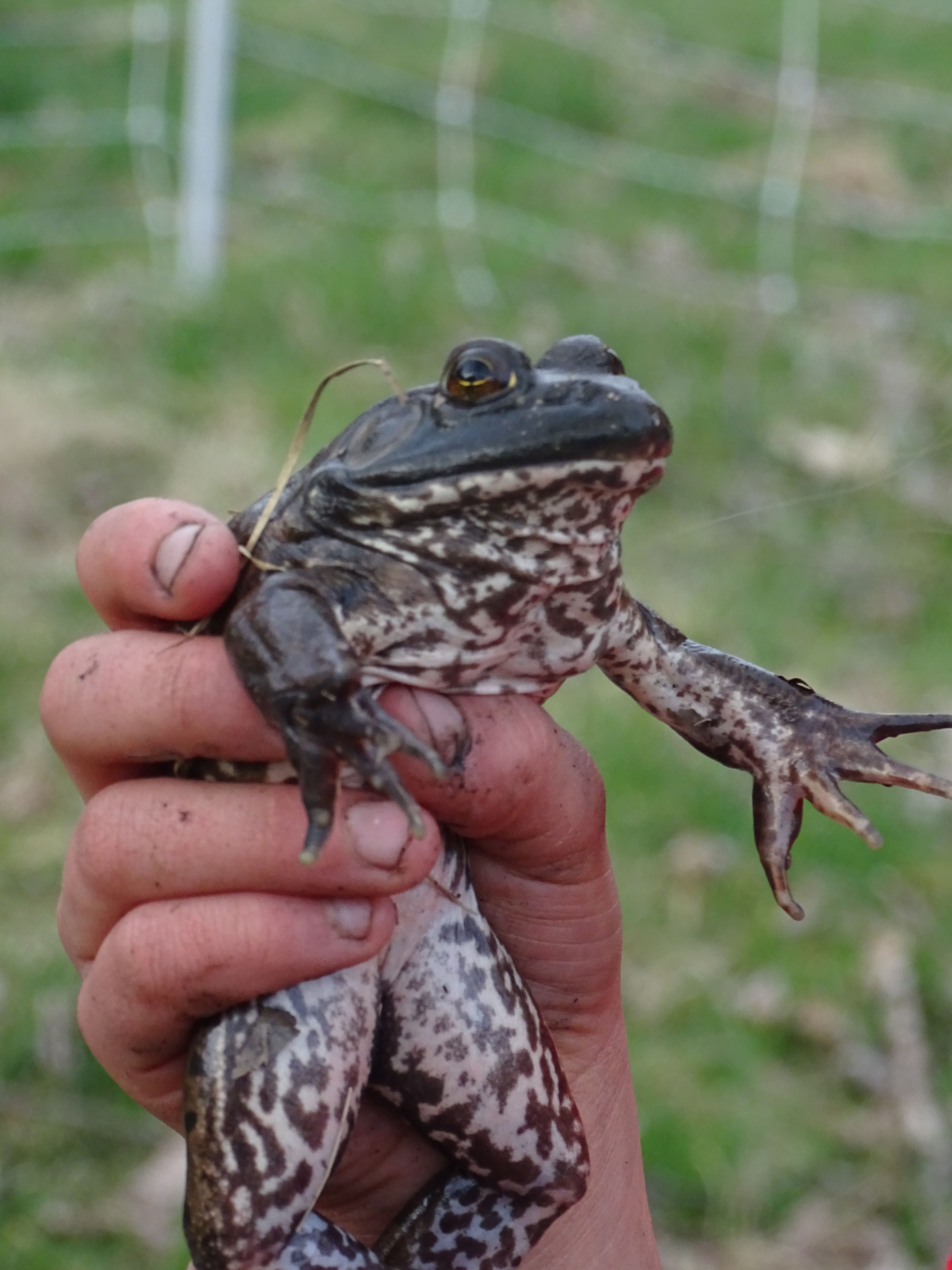 Awakening with the Seasons