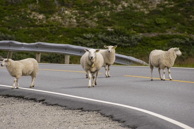 How Was Your Holiday Weekend?