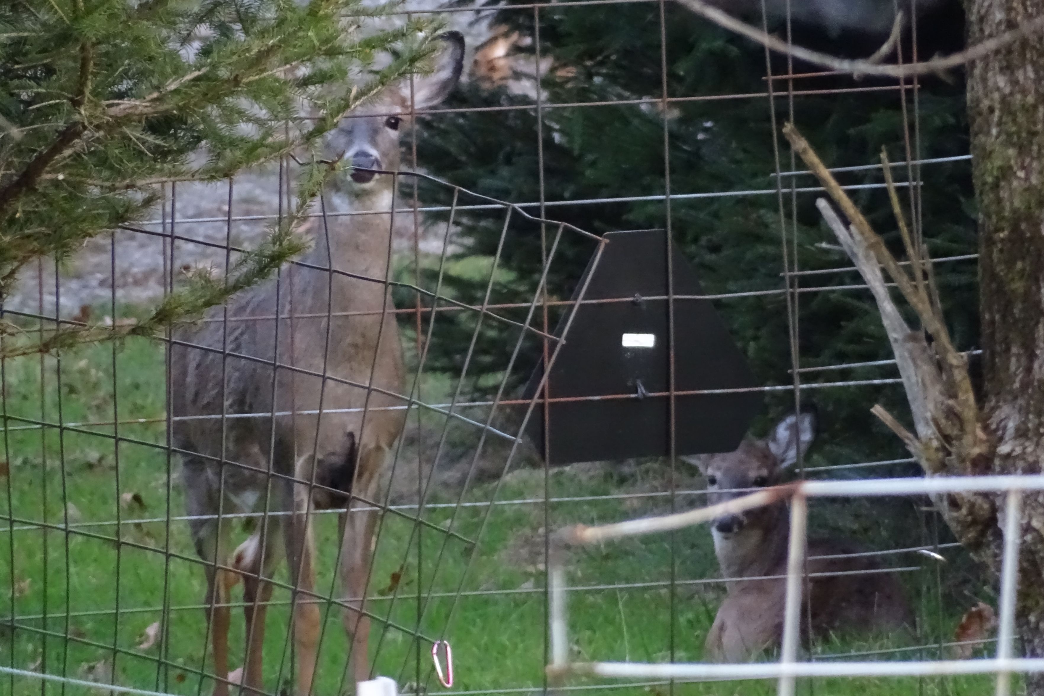 In Case I Didin't Mention it Yet...