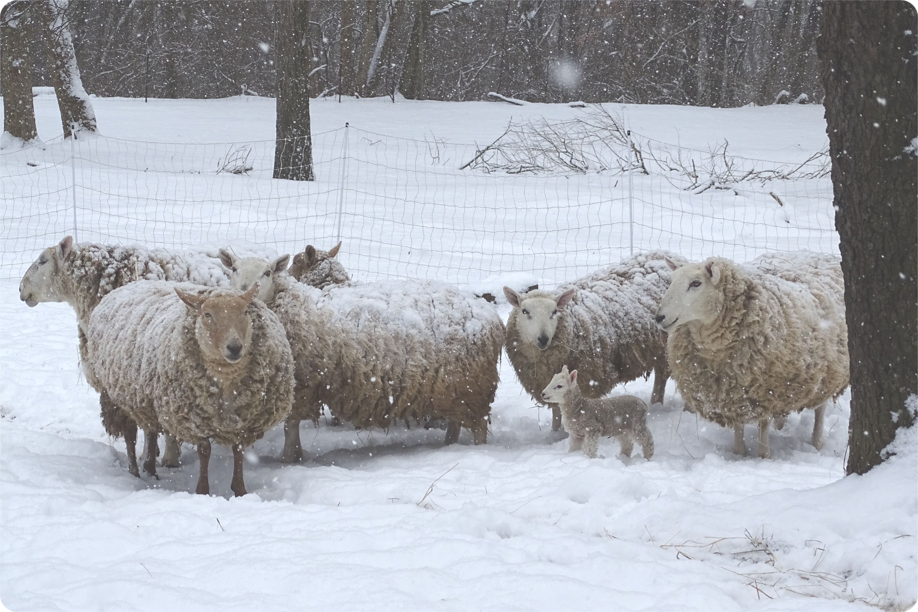 It's Still a New Year, Right?