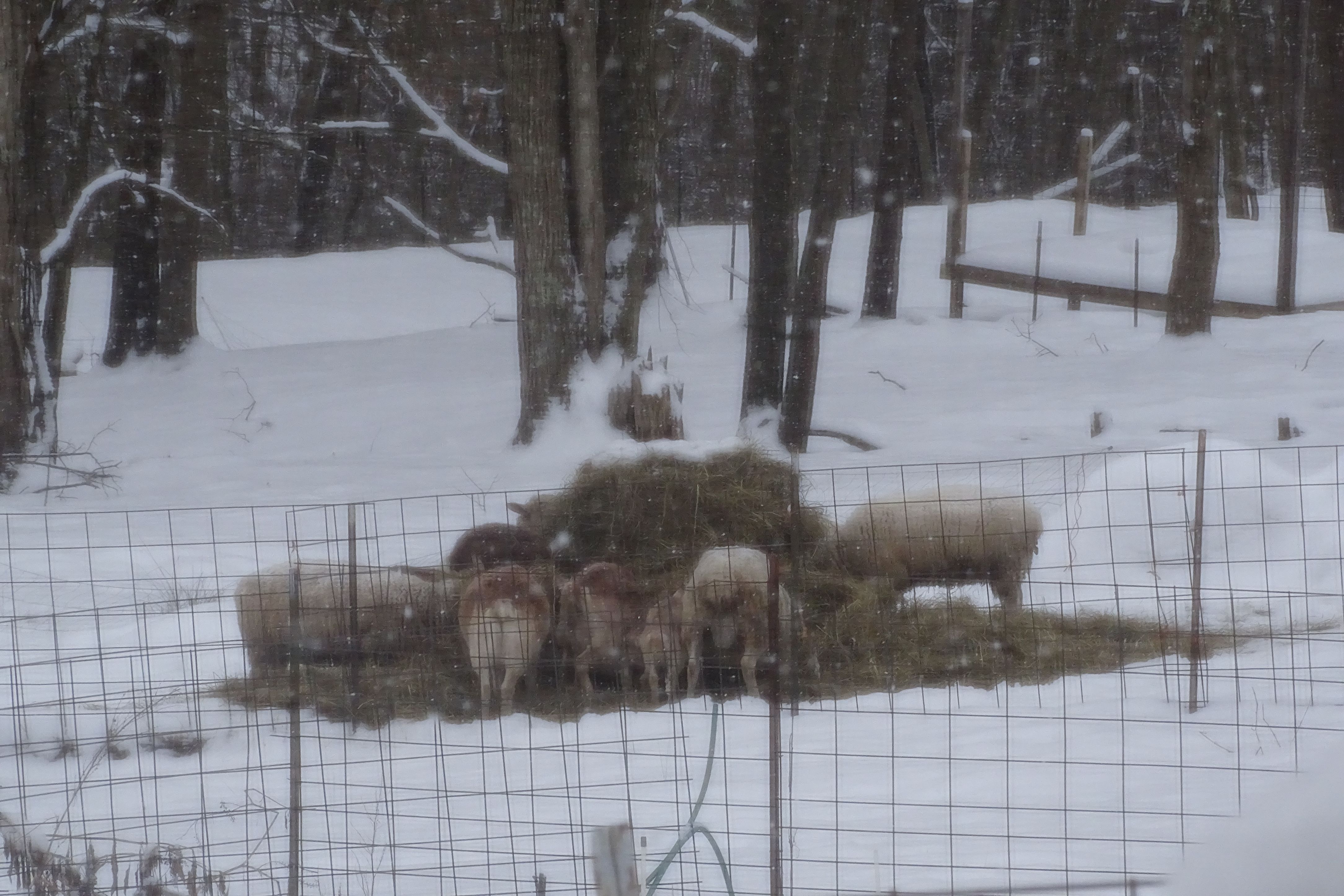 Mastering the Gray Everyday