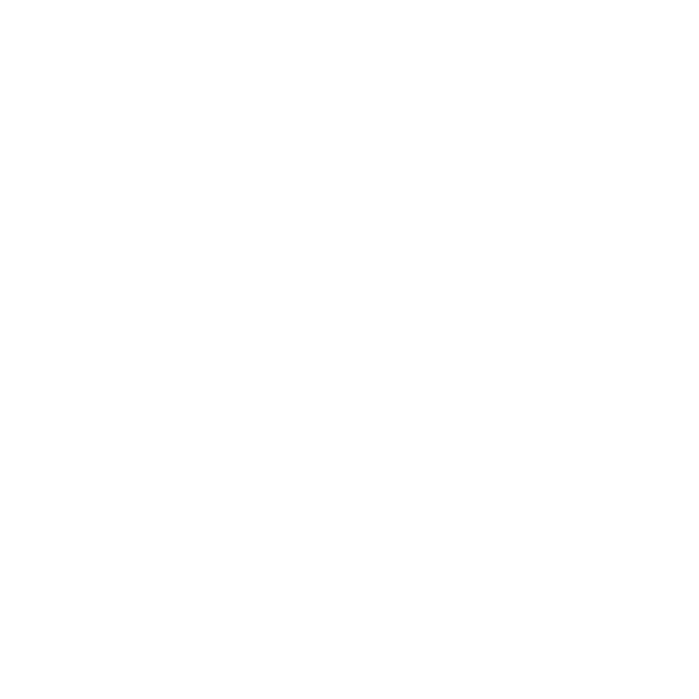 White version of the Media Sky Studio logo