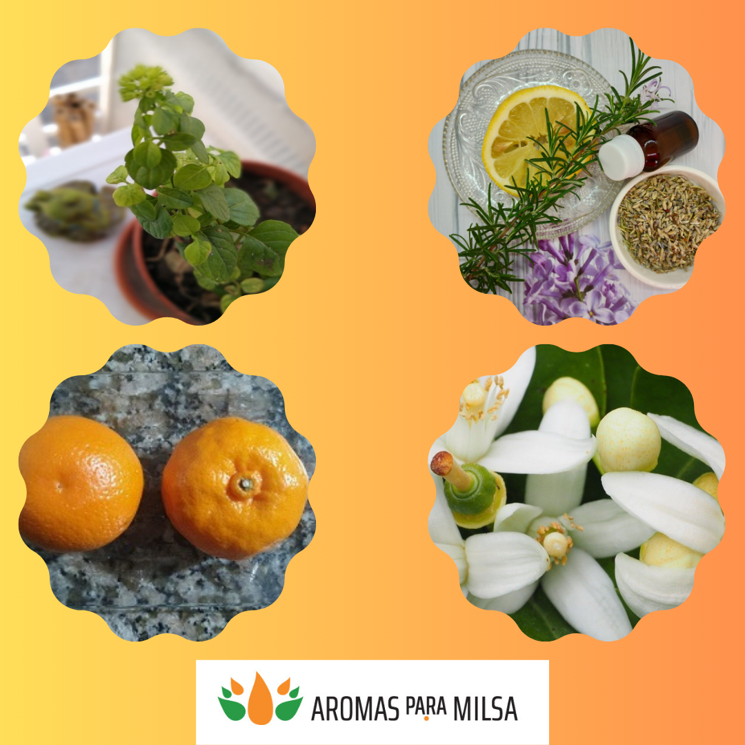 Aromas para Milsa