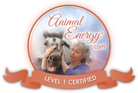 Animal Energy Level 1 (R) Certified 