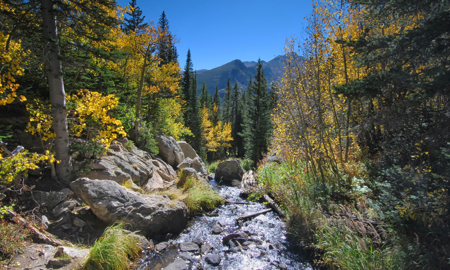 Image of river with fall colors, pine trees and mountains