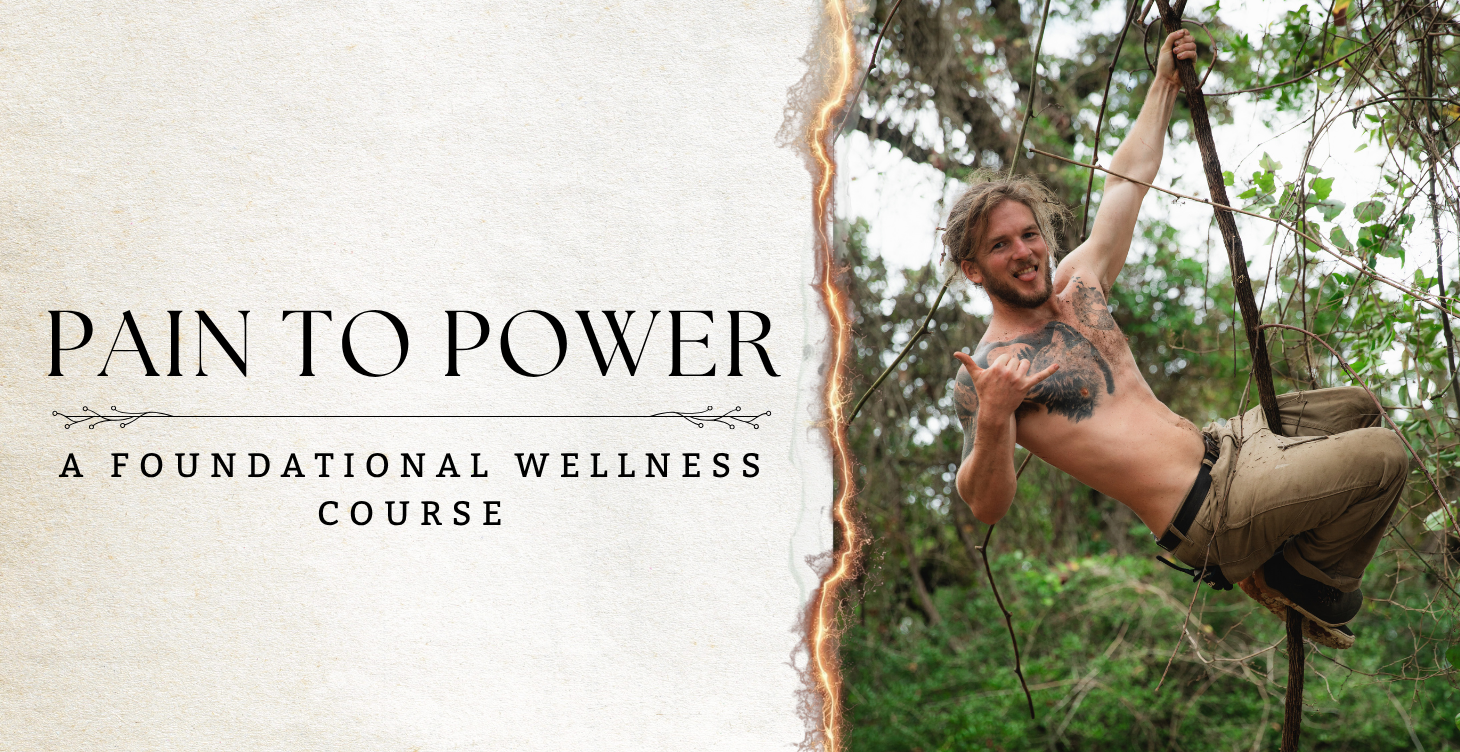 Pain to Power Course
