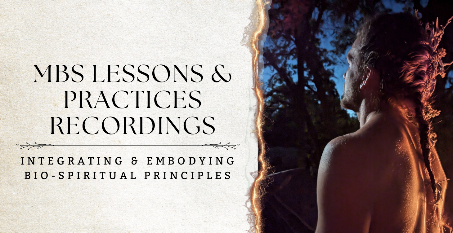 Live Lessons & Practices