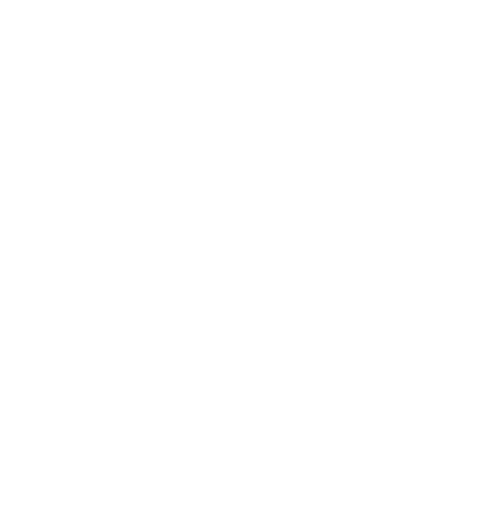 LV INVERSIONES INMOBILIARIAS