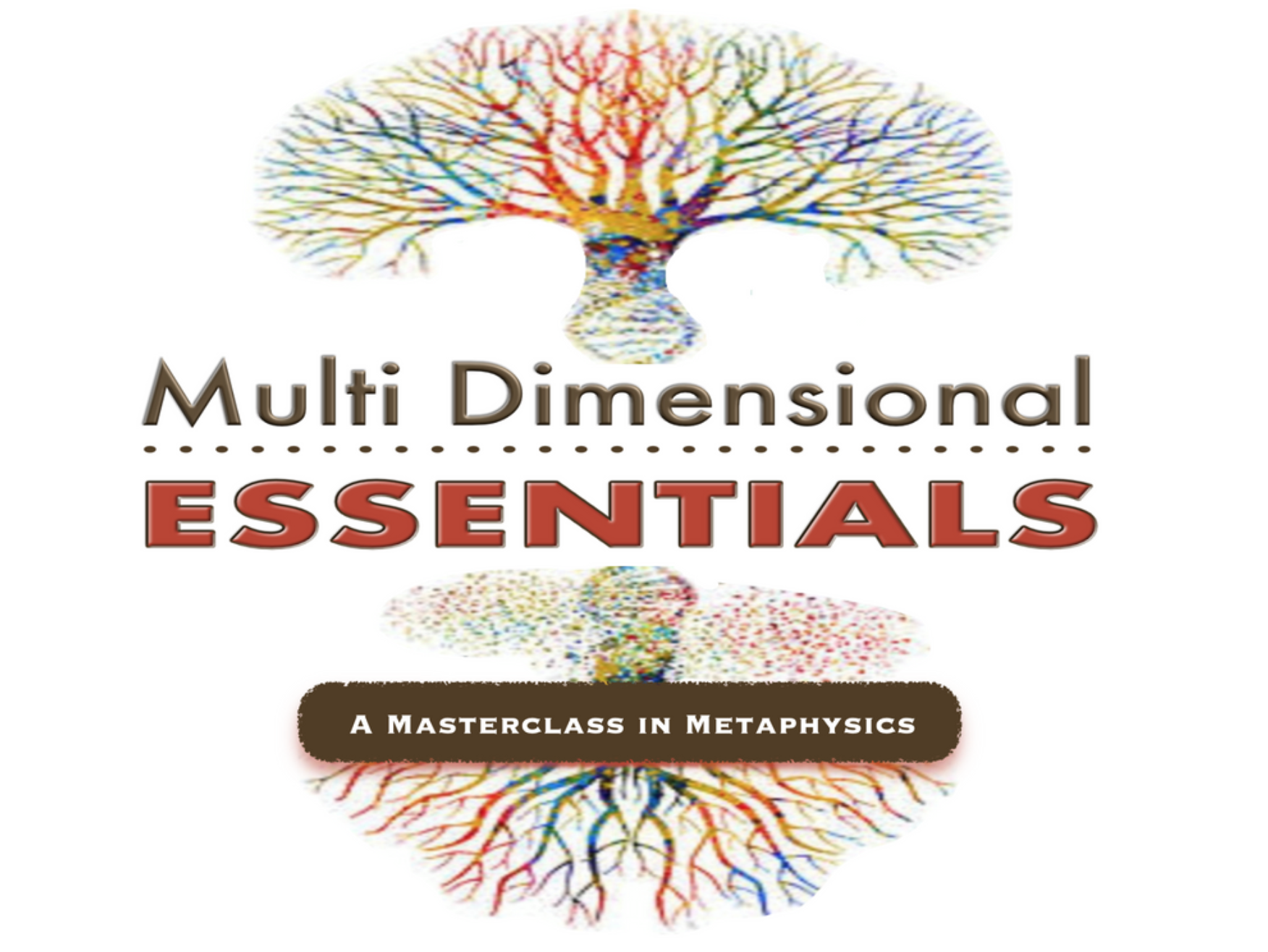 veda dave multi dimensional essentials masterclass metaphysics