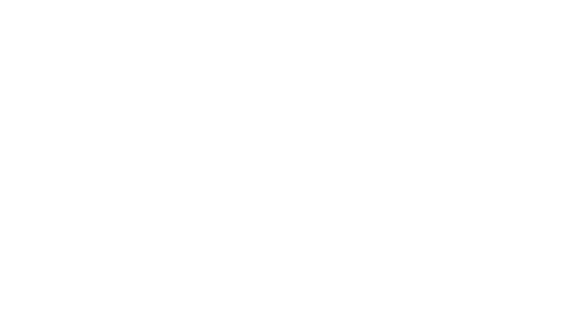 Fritz Industries logo