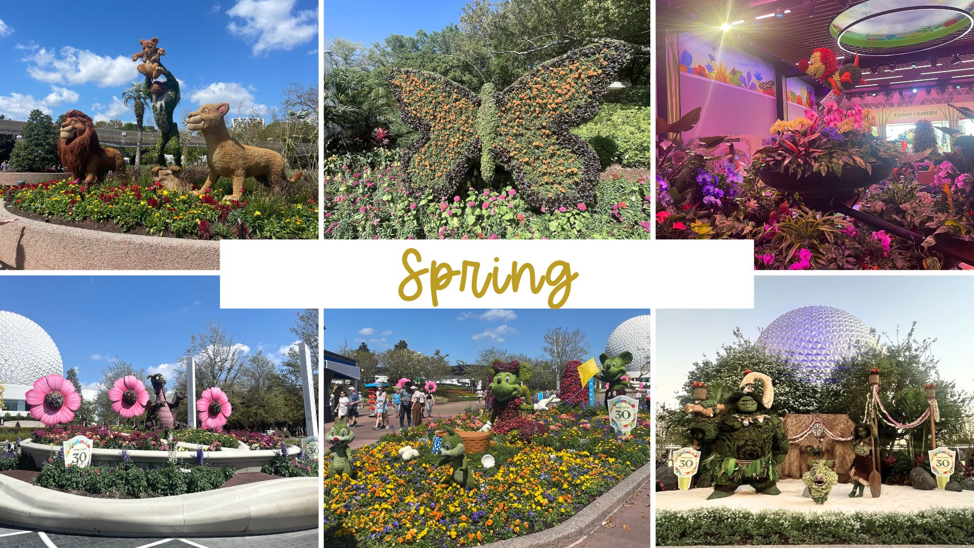 Disney with Kids This Spring? Here’s Your Ultimate Family-Friendly Guide!