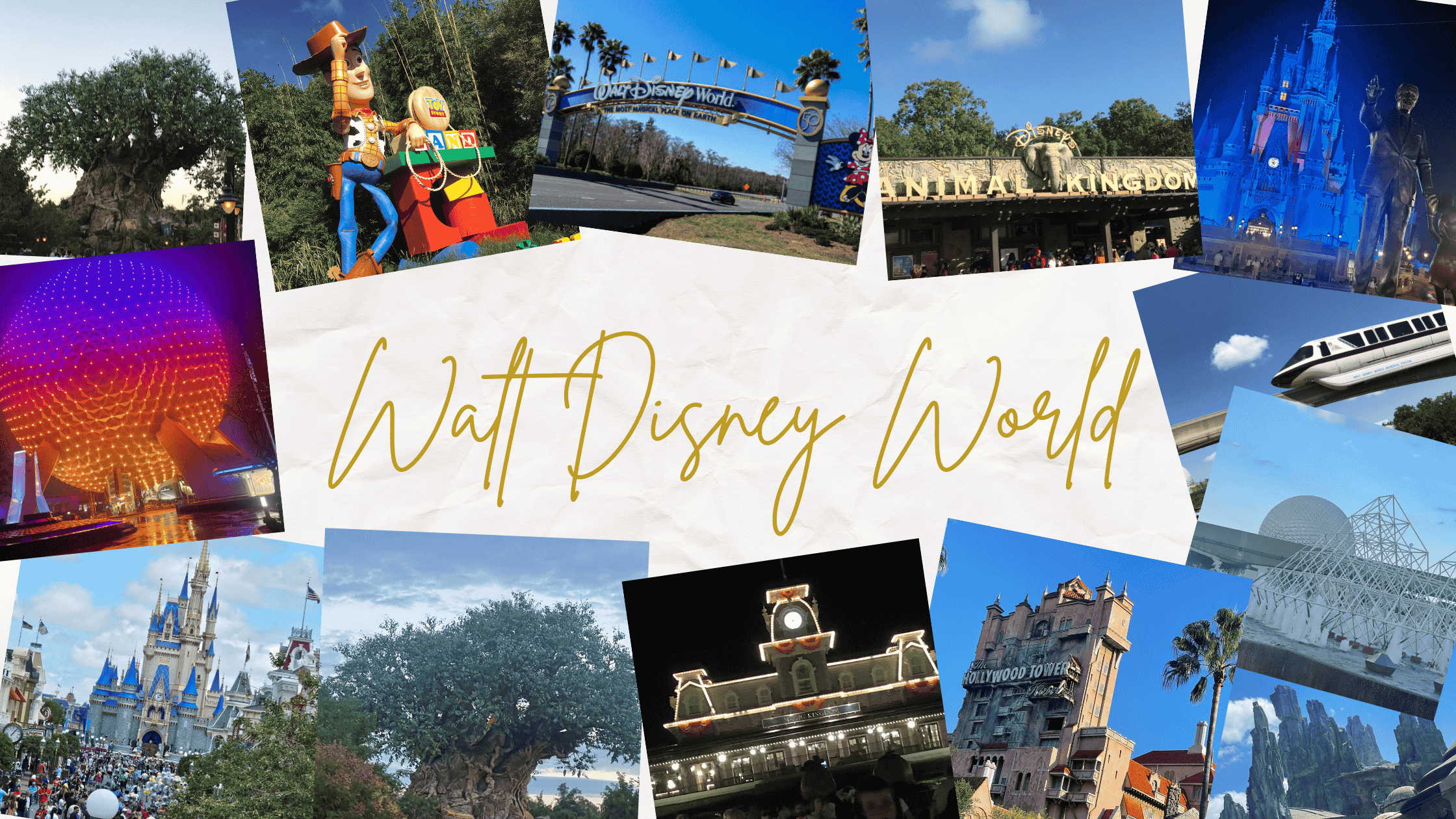 How a Travel Advisor Can Make Your Walt Disney World Vacation Absolutely Magical