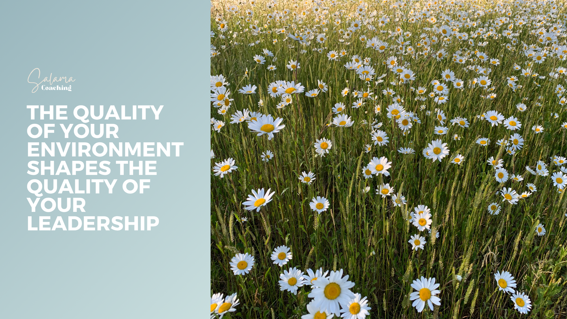 The quality of your environment shapes the quality of your leadership