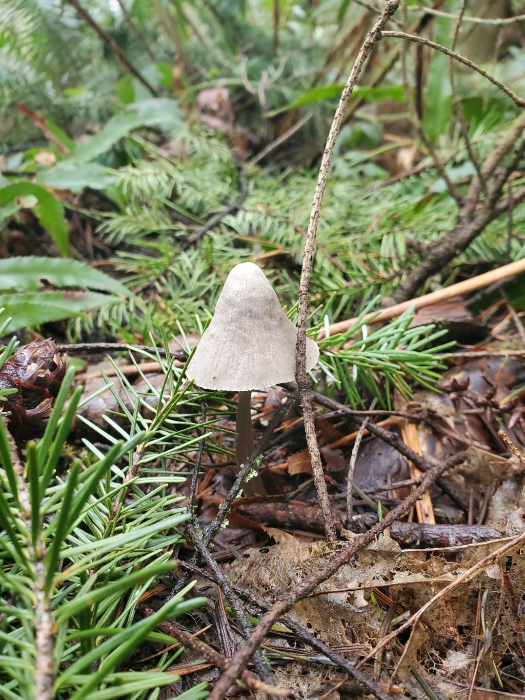 meaningful-connections