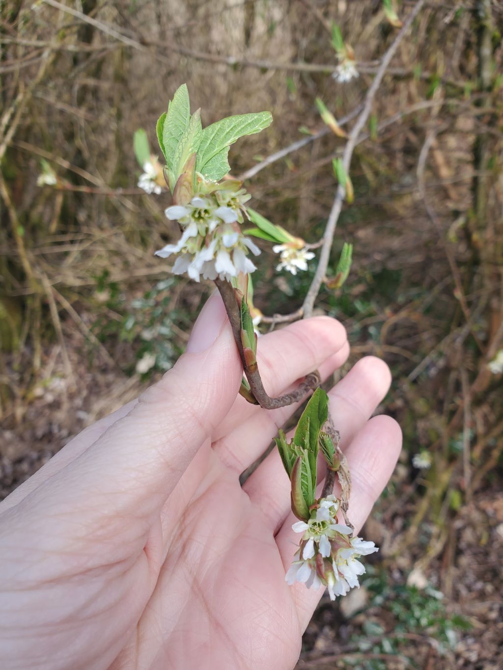 meaningful-connections