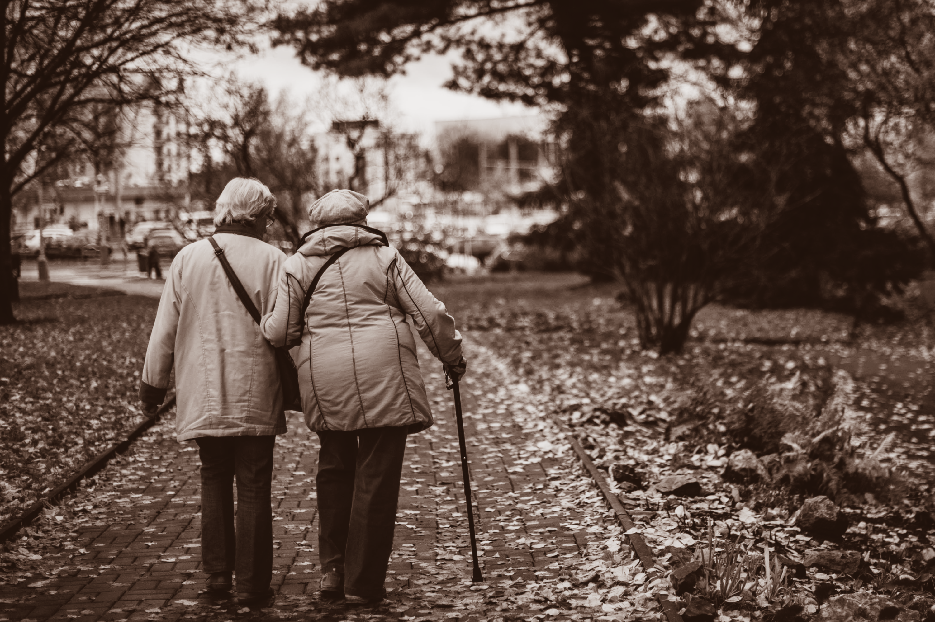 Two elderly people walking in the park