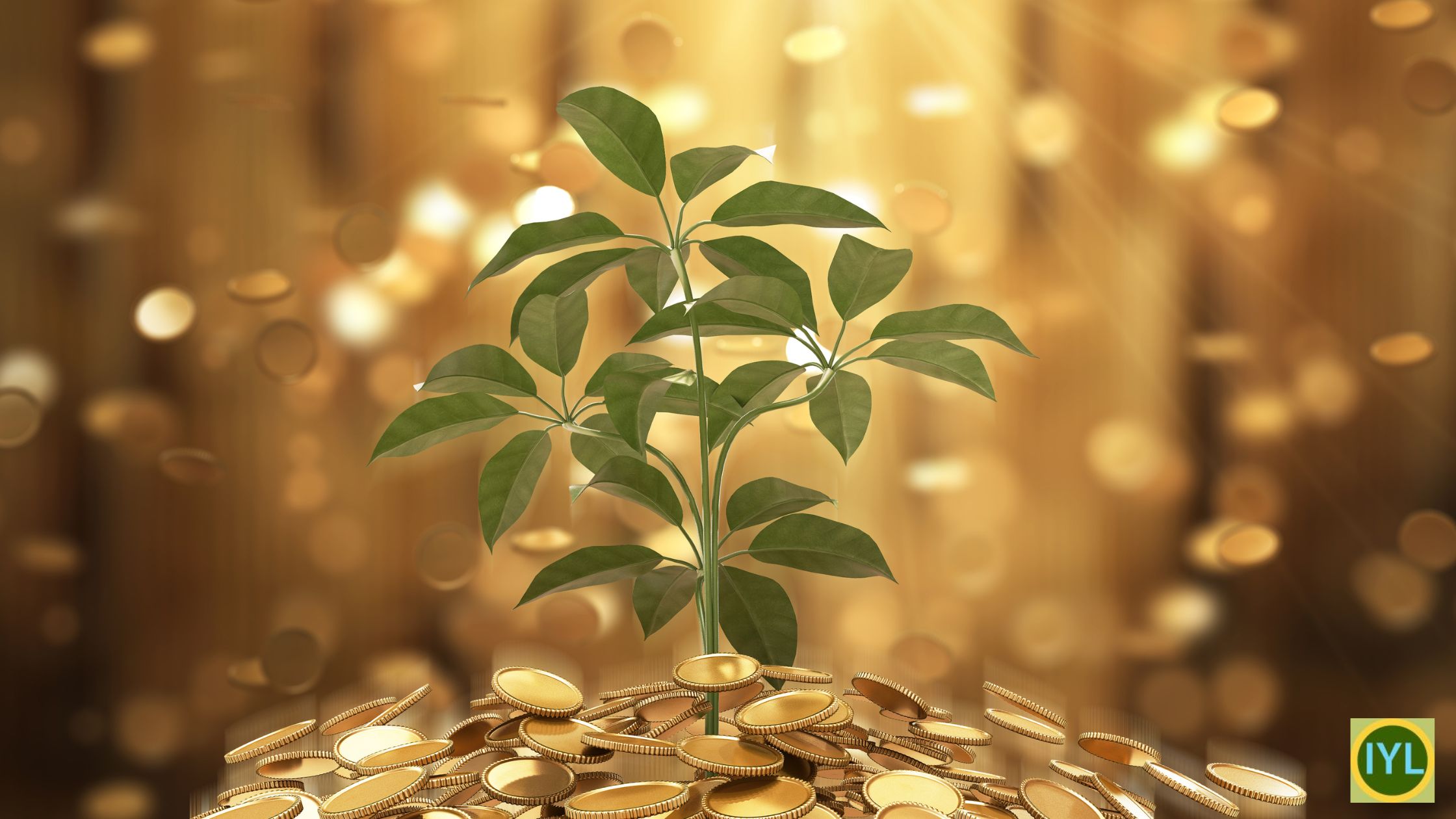 Exploring the Beliefs and Energy Around Money Mindset