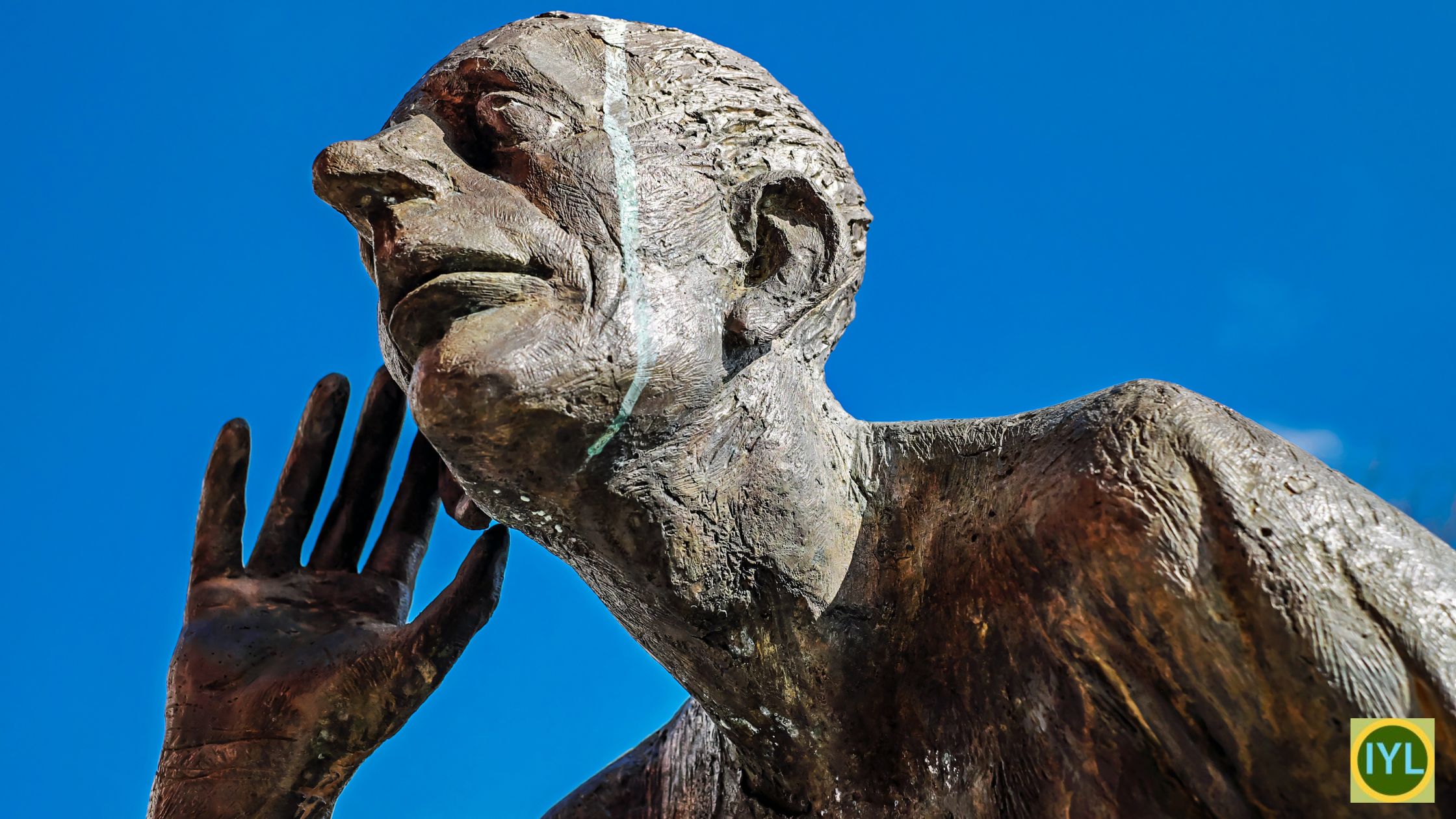 The Art of Listening: A Journey Beyond Words