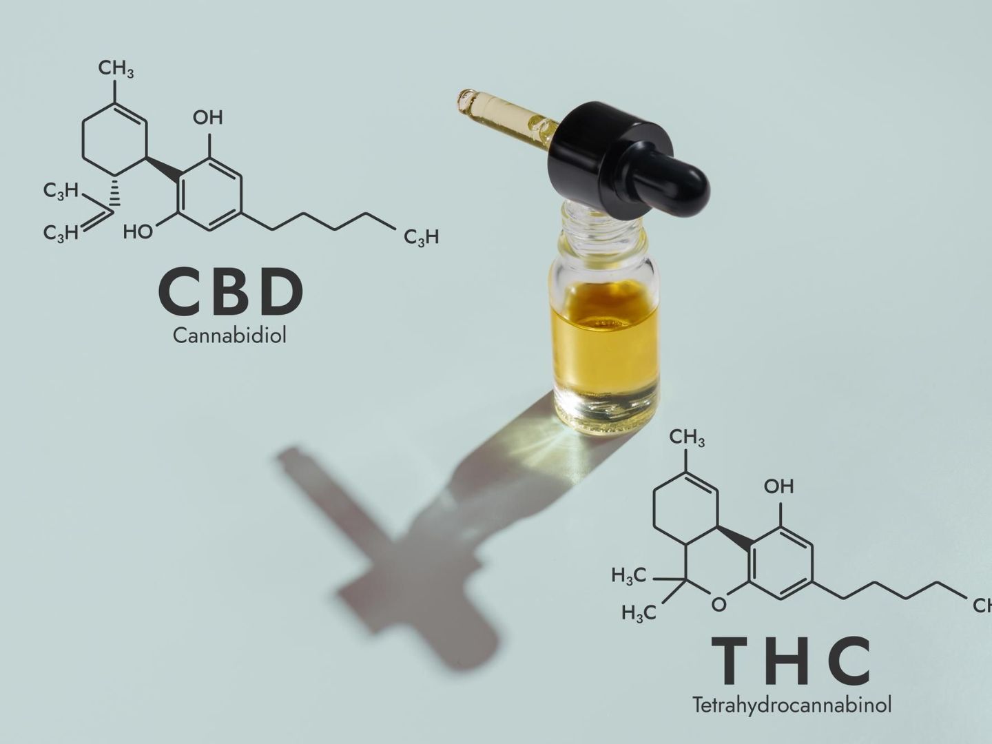 CBD vs THC - Czym się różnią?