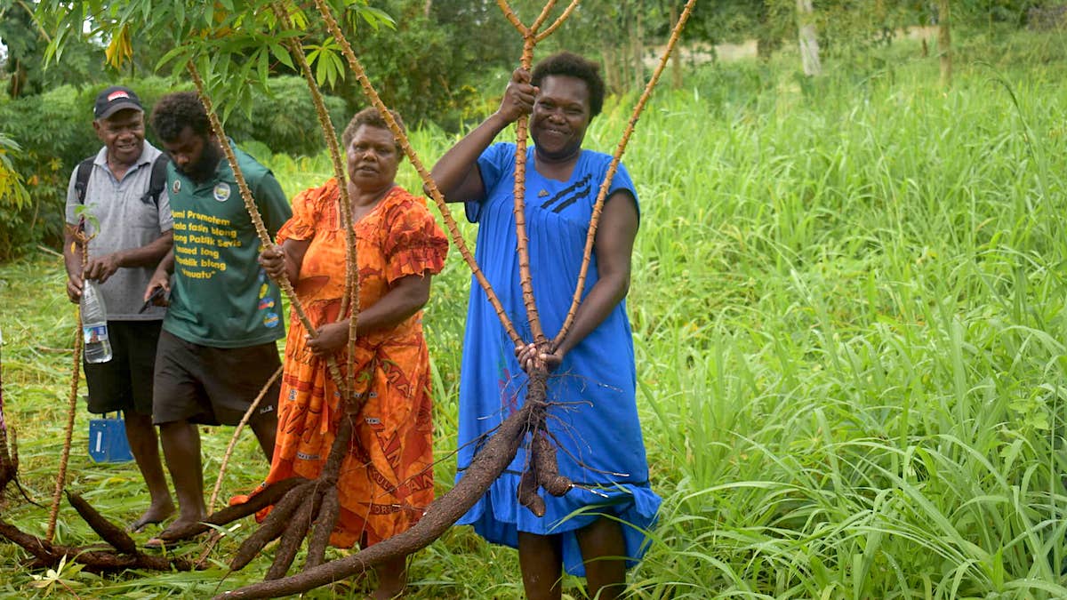 Two women attendees of a VanKIRAP agromet training workshop display manioc tubers