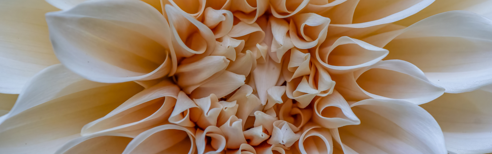 Do You Know How Intimately The Pelvic Floor Is Connected To The Spine?