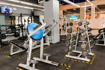 empty gym full of gym equipment