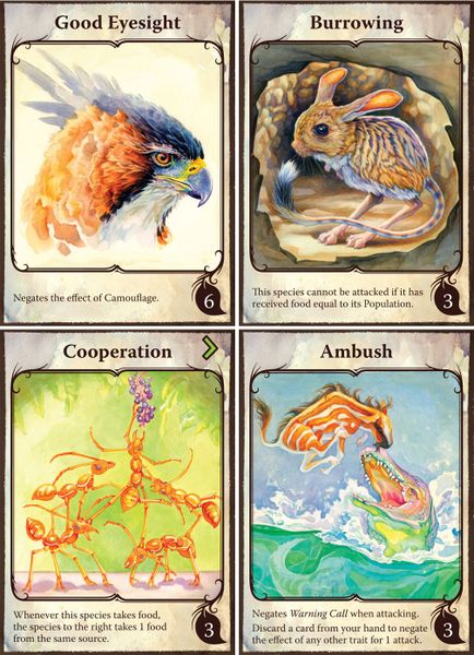 Evolution cards game