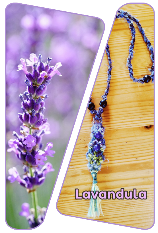 The Lavandula Necklace