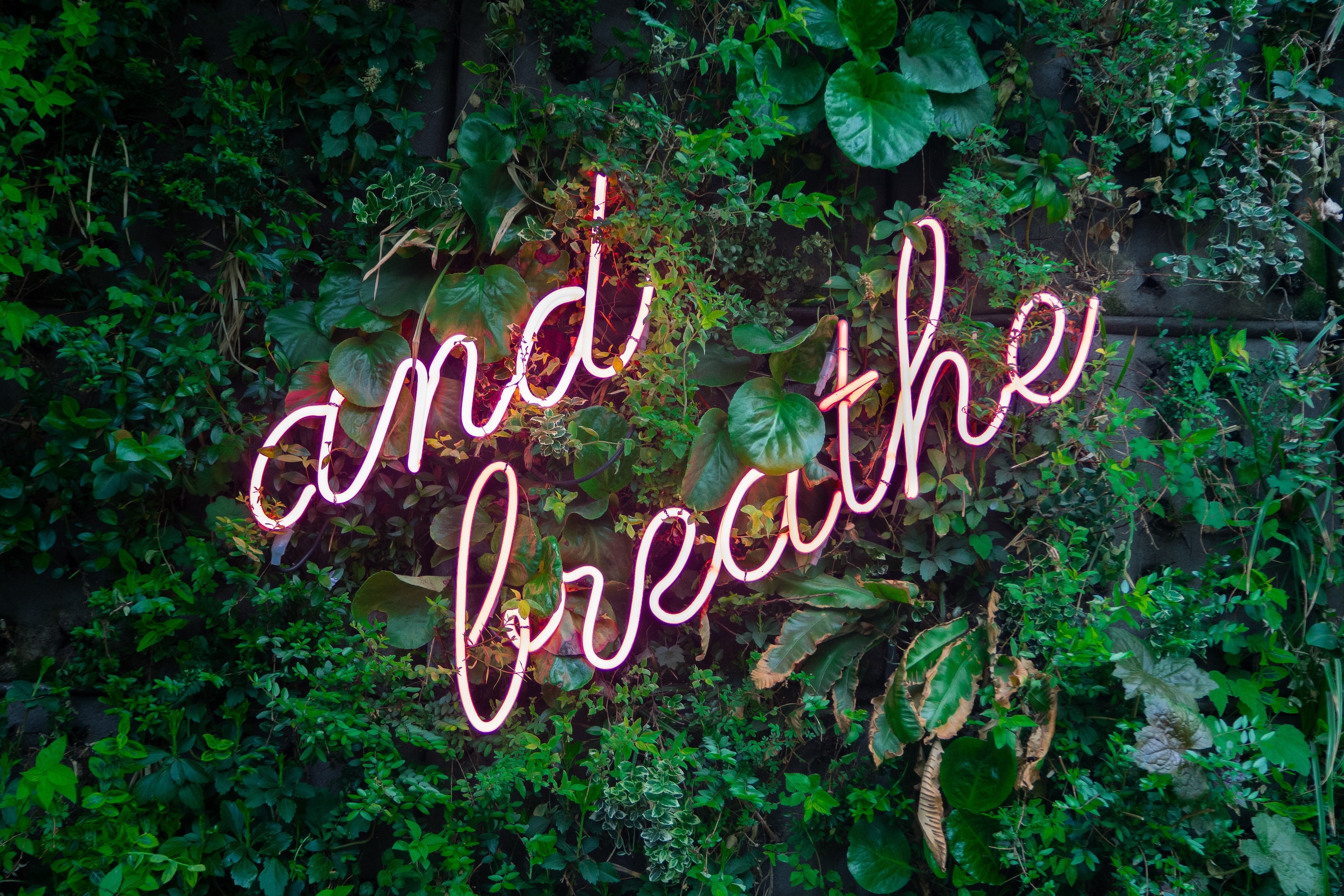 Yoga Freiburg Pranayama Atemkurs