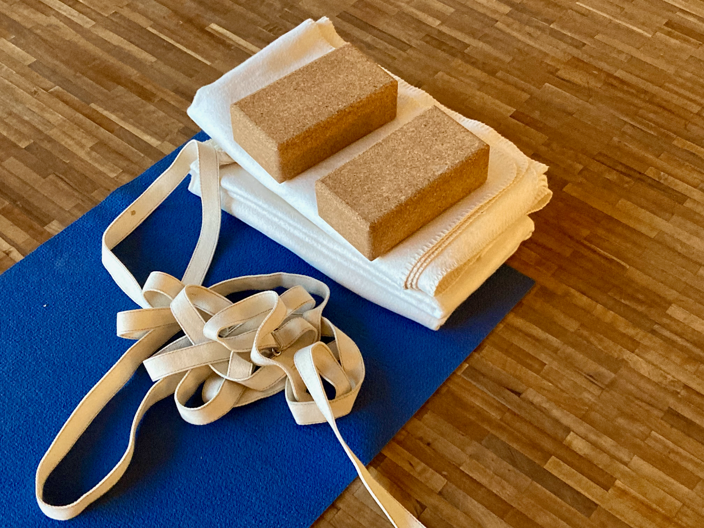 Yoga Freiburg Adho Mukha Svanasana