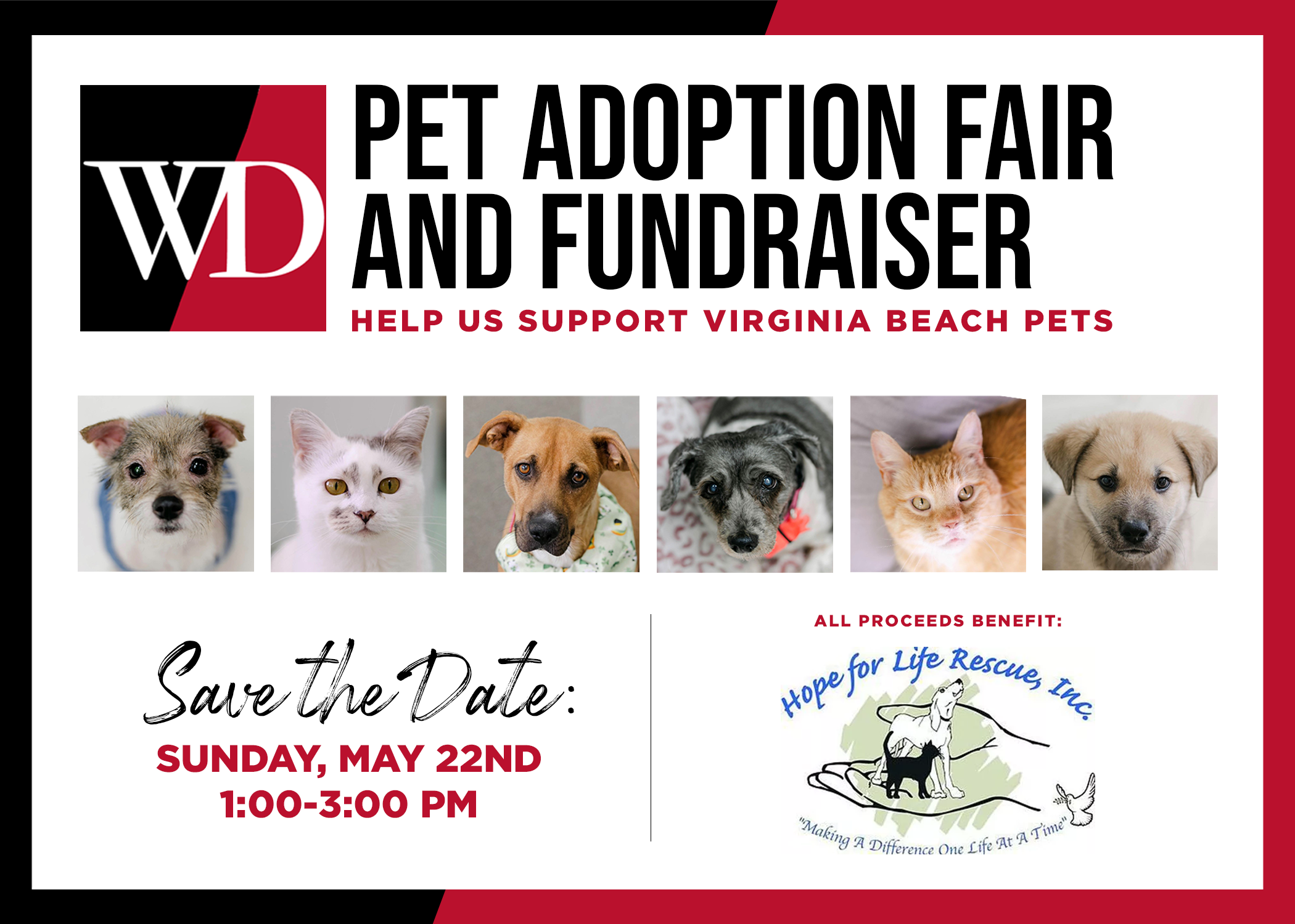 Virginia Beach Pet Adoption Fair And Fundraiser   KLP7s4hq6vWrkvgPJ82RVxmHjhqGC4cyfCVicxON 