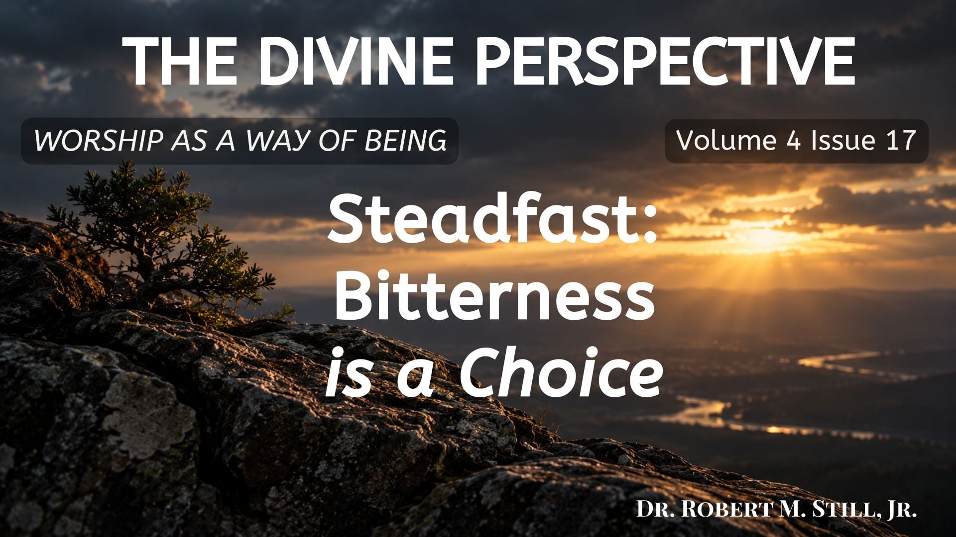 Steadfast: Bitterness is a Choice