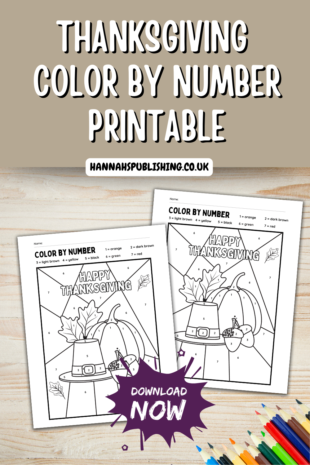 Thanksgiving Coloring Sheet Color By Number Easy Printable for Kids, Printable Thanksgiving Activity for Kids, Thanksgiving Craft