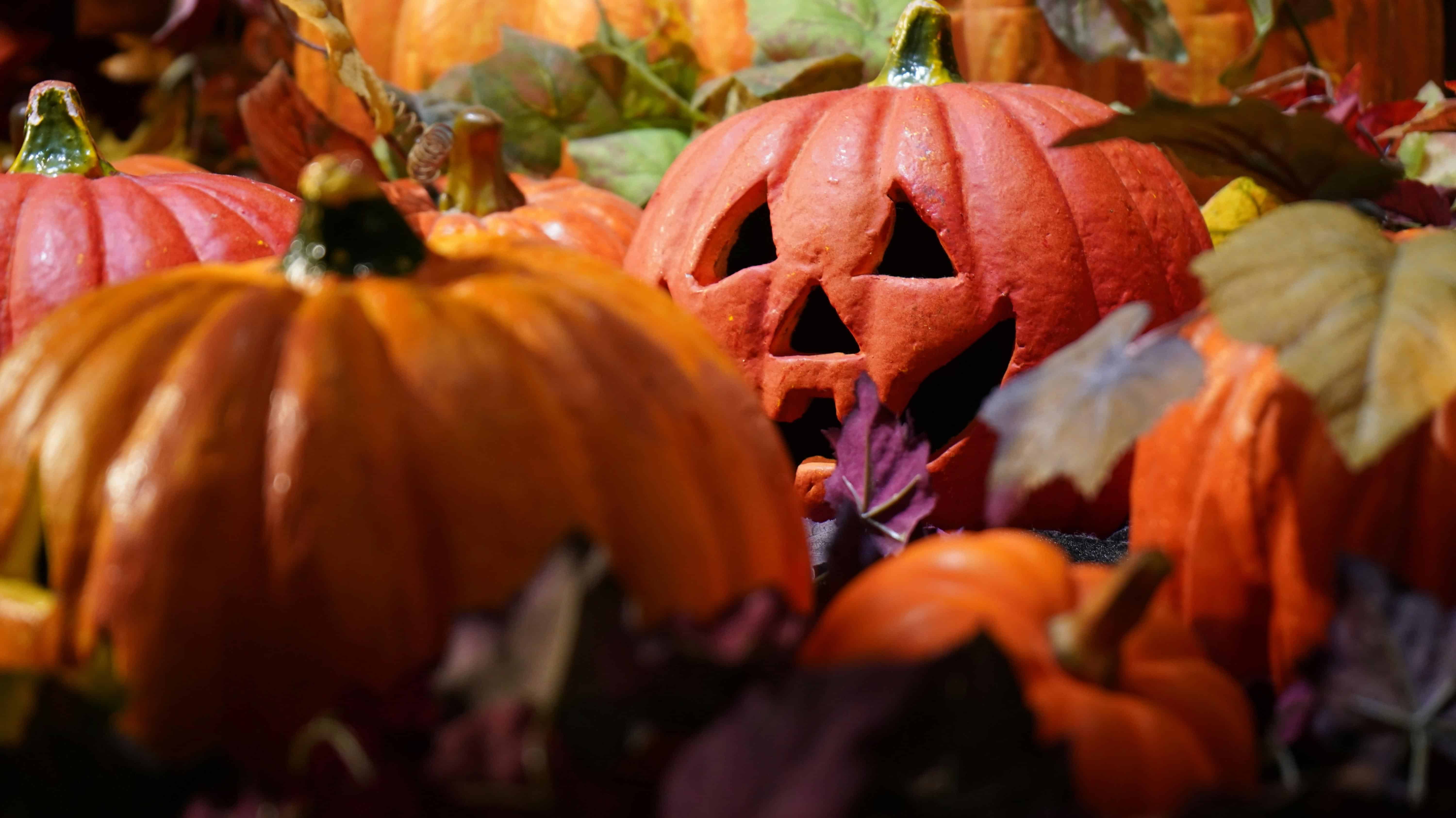 October Newsletter
