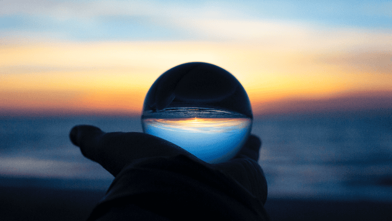 Wellness snapshot quiz