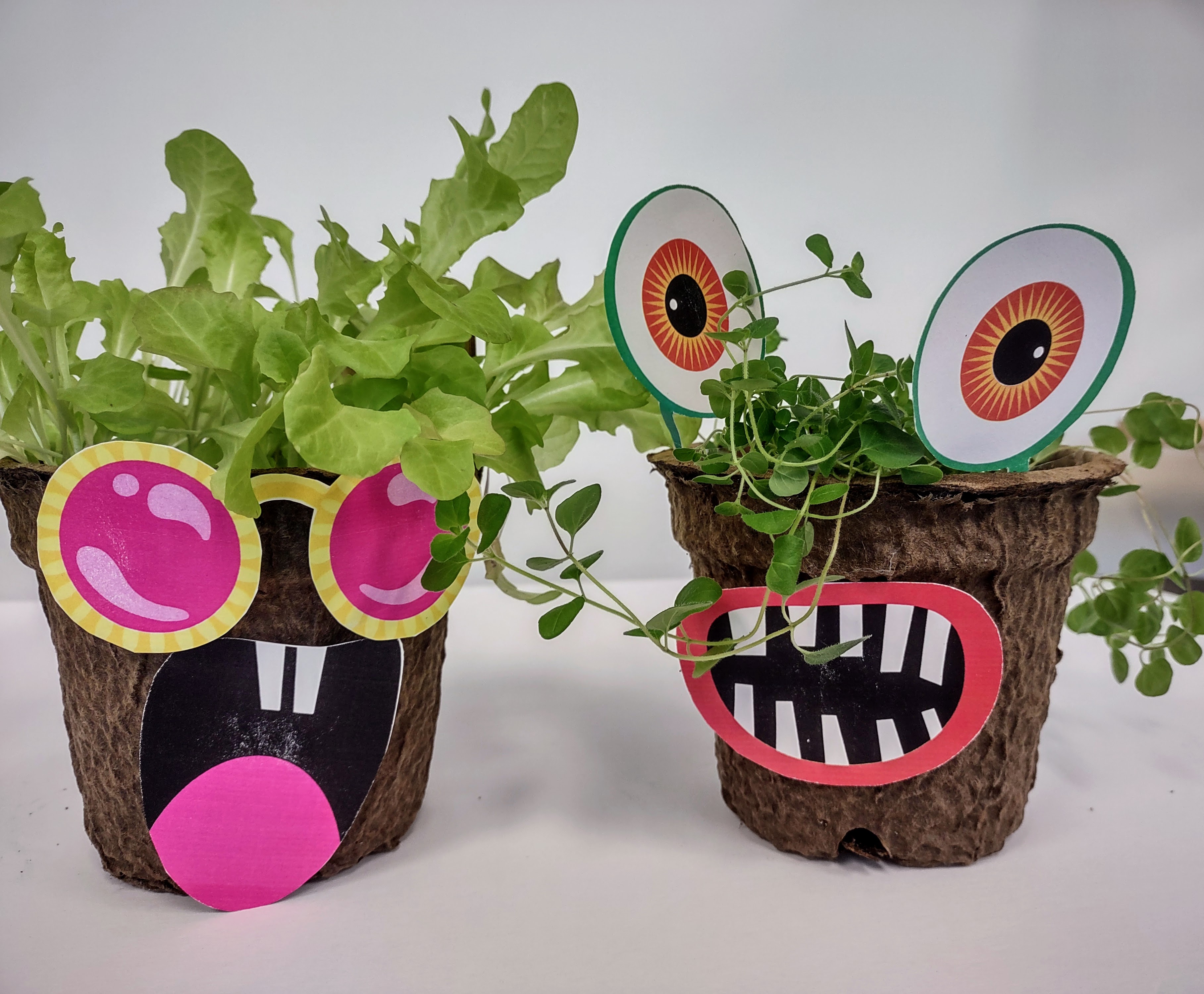 Kids garden containers that look like monsters with lettuce and oregano growing.