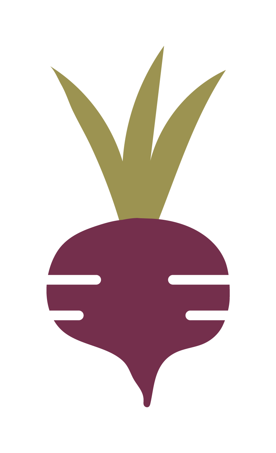 Icon of Turnip Nutrition