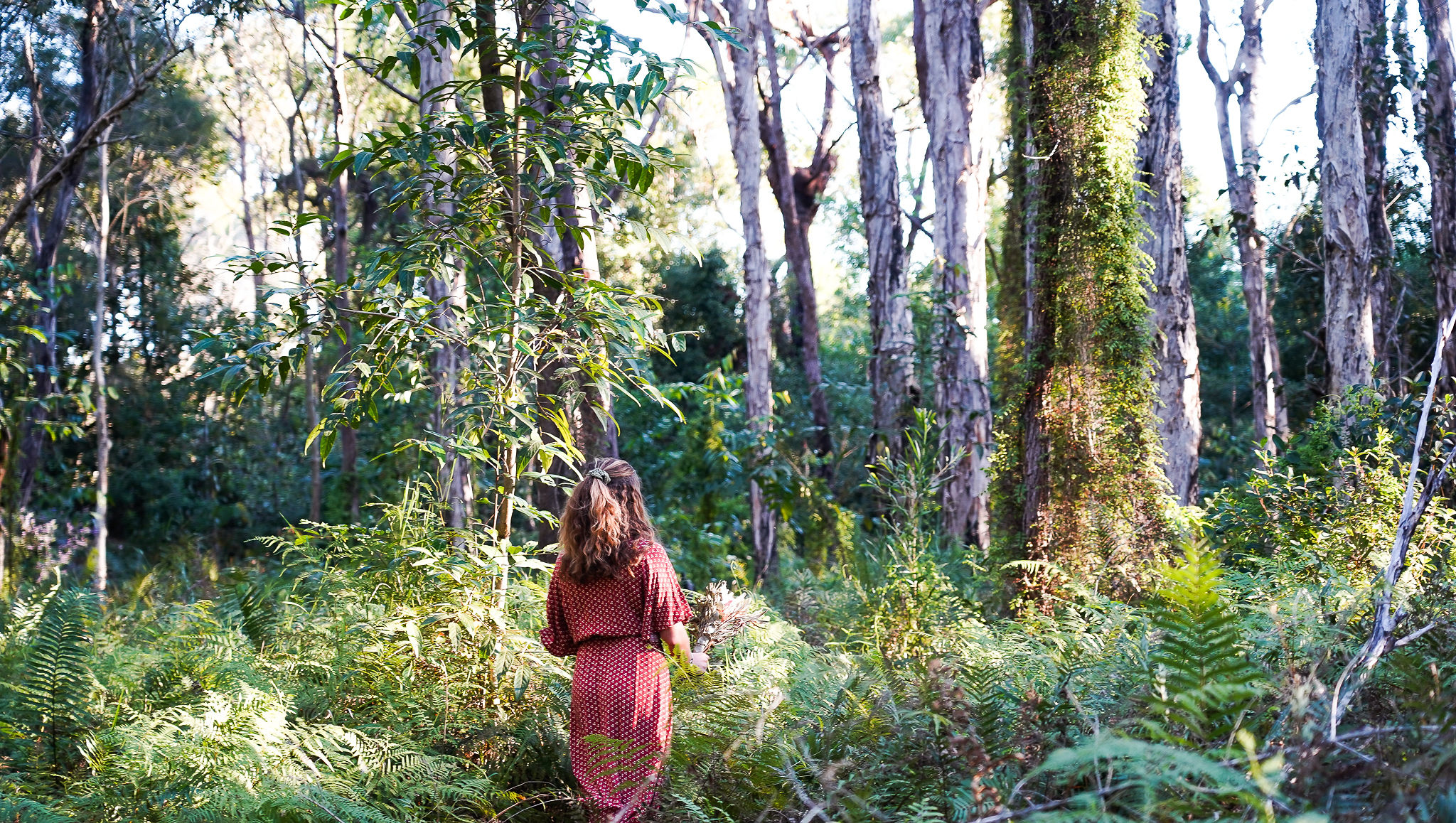 How Nature is a mirror to our internal world 🌱🌿