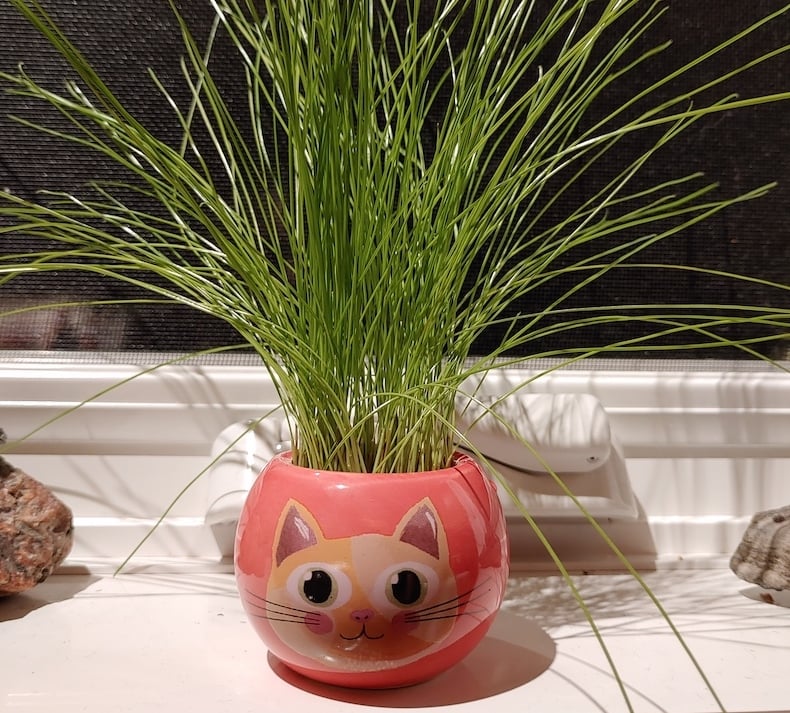 A picture is worth a thousand words - Part 2 of 4 - Compassion