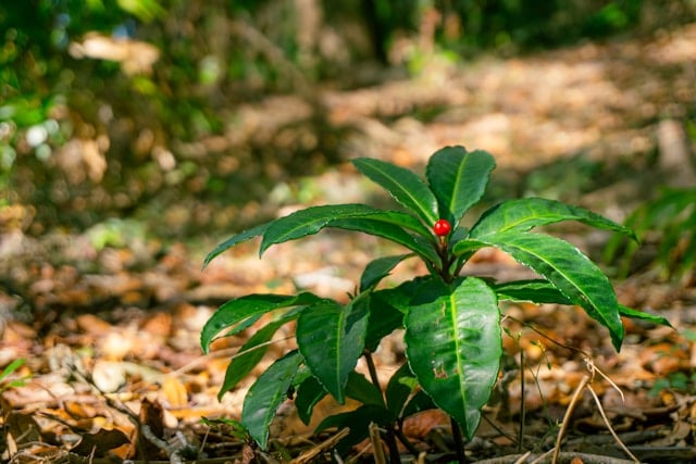 Self-care in a season of growth