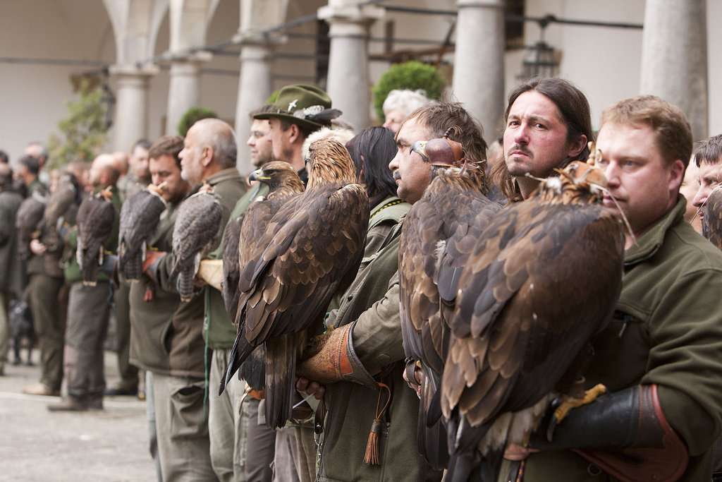 Opočno event image 2