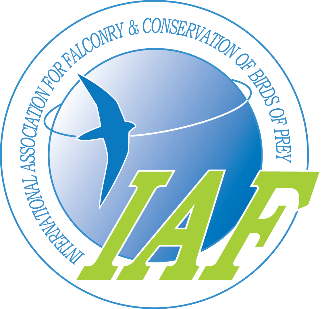 Support IAF Badge