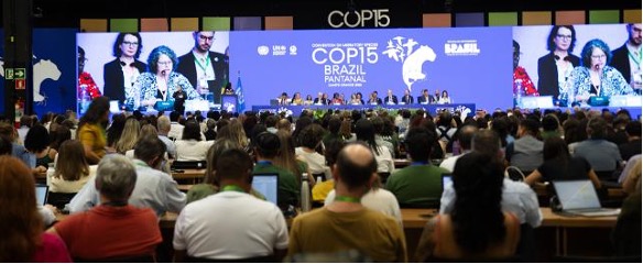 CMS CoP15 Brazil Landscape