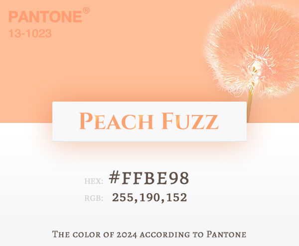Pantone Color 2024 | Combination with other colors