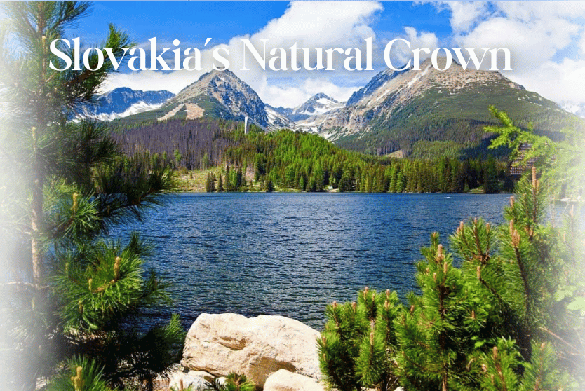 Mercedes V-Class in the Tatras — CarGip scenic travel
