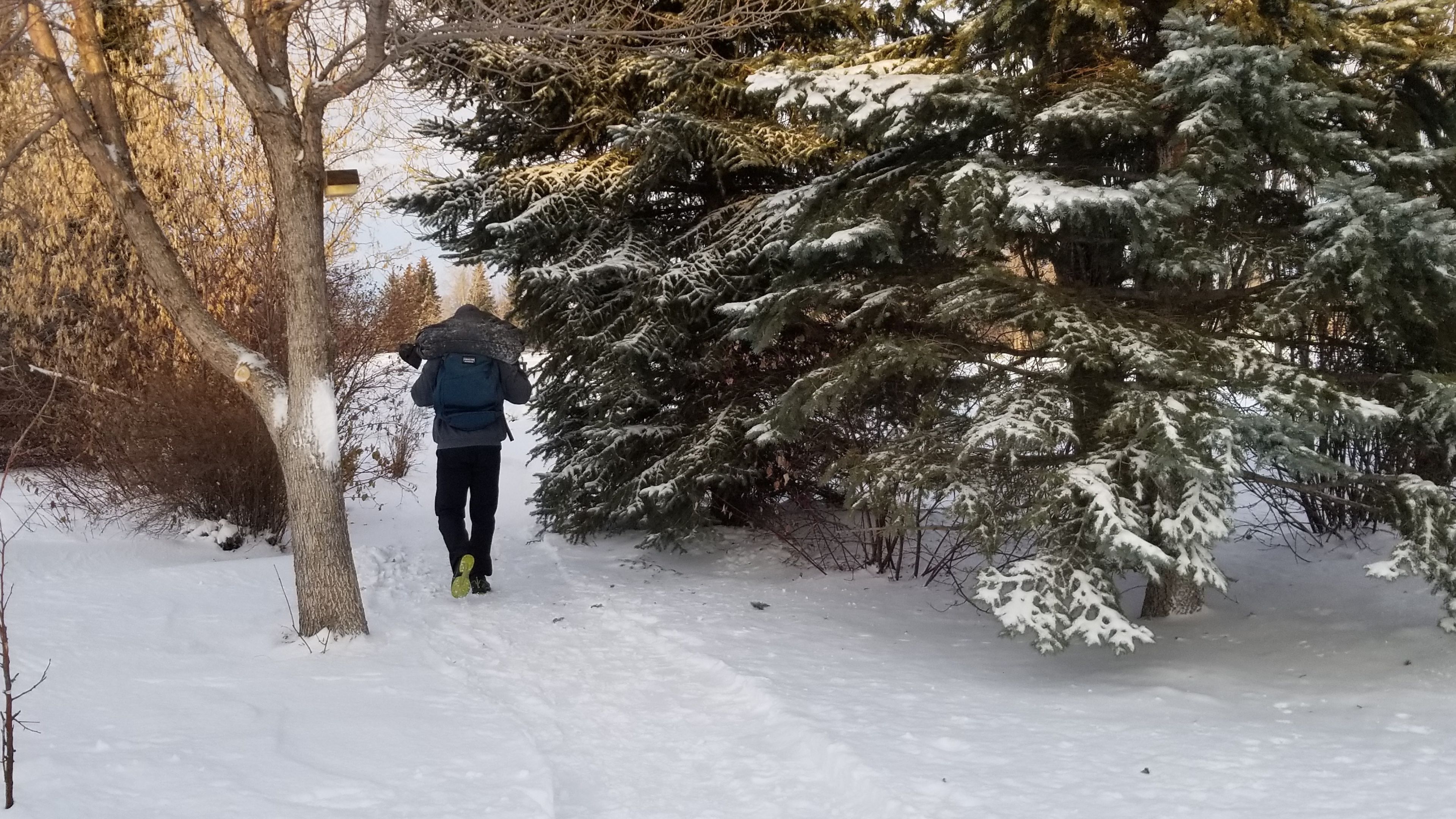 Rest Days Are Important… But That Doesn’t Mean You Can’t Train Every Day