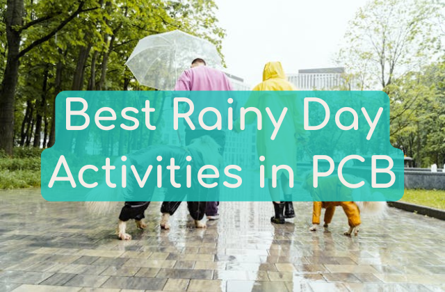 A picture of a couple (one in a yellow rain coat and one in a pink sweater with a large, clear umbrella) out with their two dogs (both of whom have rain coverings) enjoying a nice rainy day outdoors, presented within the Near Me Discovery Things To Do blog content hub as the image for the blog post on best rainy day activities in Panama City Beach, FL