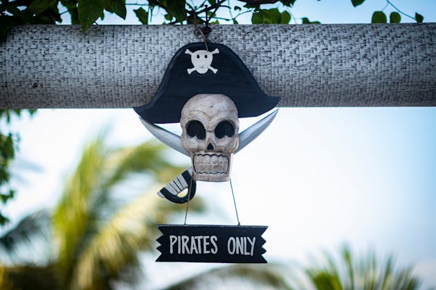 A picture of a pirate skull with a pirate hat hanging from a branch with the words 