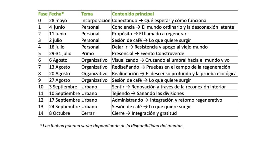 Regen101: Programme Summary (Compact Version)