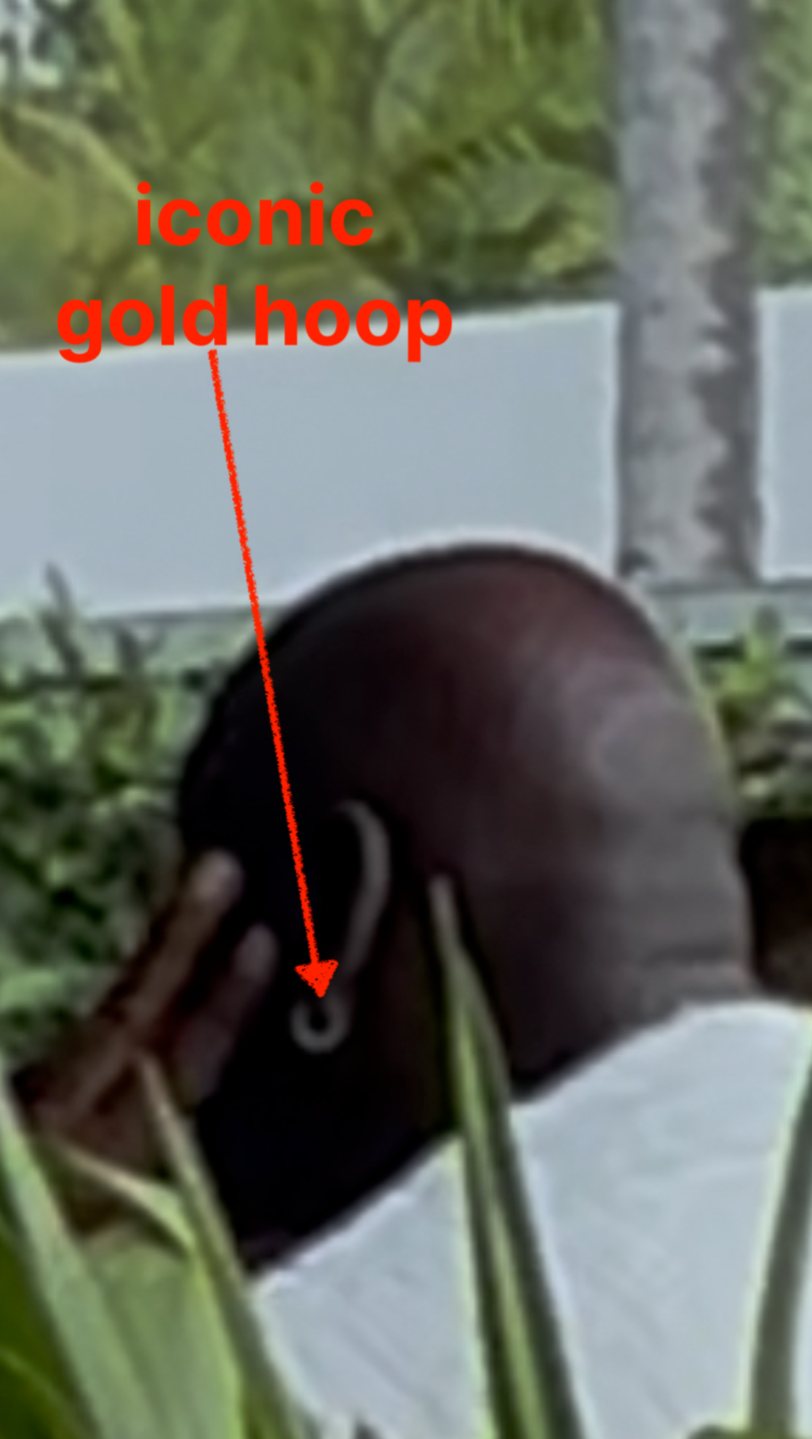 Michael Jordan's iconic gold hoop earring